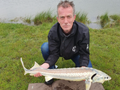 Vijver 1: Steur, meerval, karper